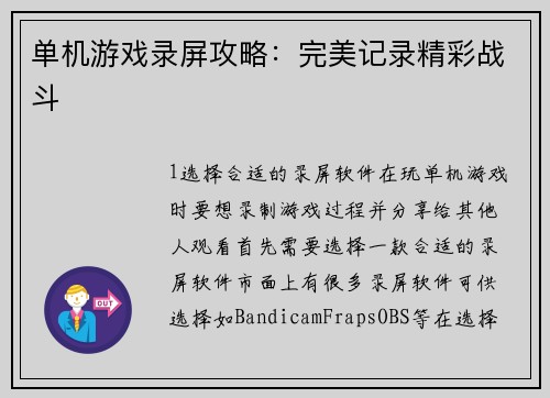单机游戏录屏攻略：完美记录精彩战斗
